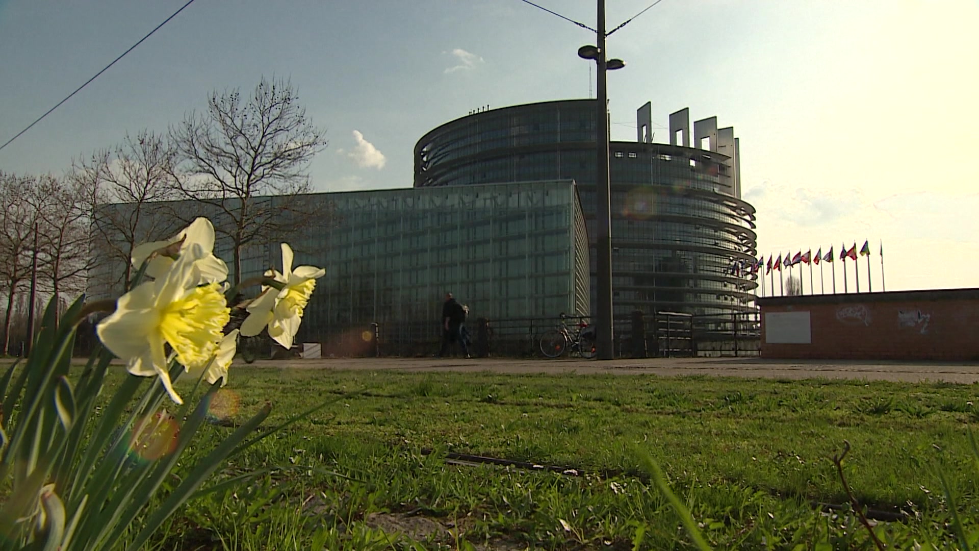 EP Plenary session (09/03-12/03): editing shots